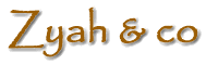 Zyah Handcrafted Men's Women's Surfer Jewelry